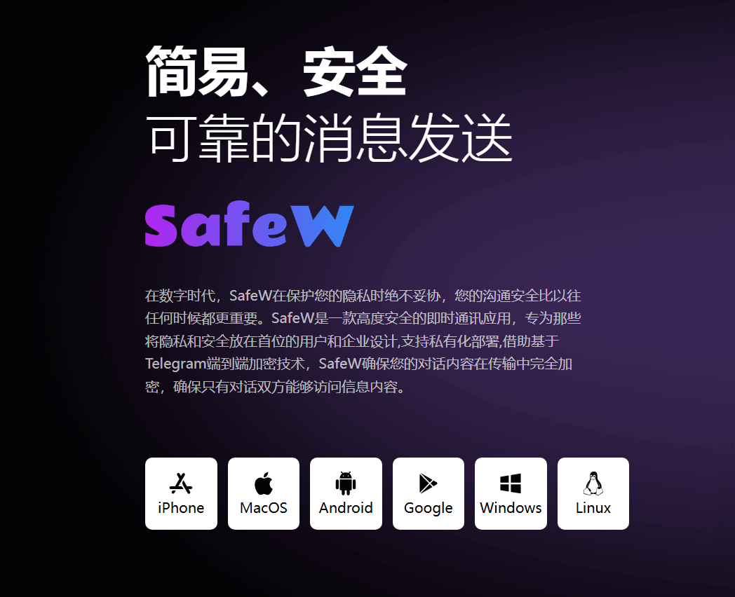 团队成员